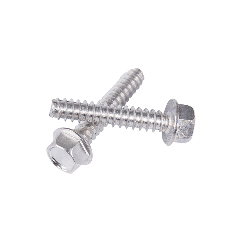 C1022A SUS410 SUS304 SUS316 Flat hales selvtappeskrue